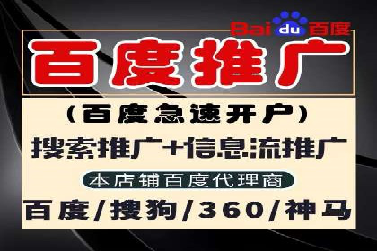案例研究：如何通过竞价广告实现精准营销